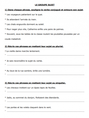 sujet cm2.PNG