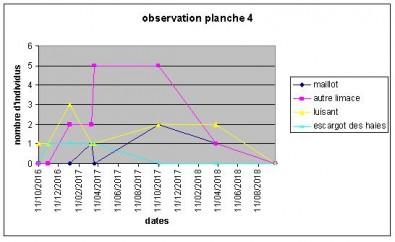 graph planche 4.JPG