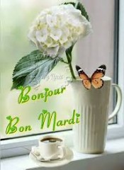 bonmardi.jpg