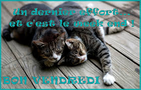 bonvendredi.jpg
