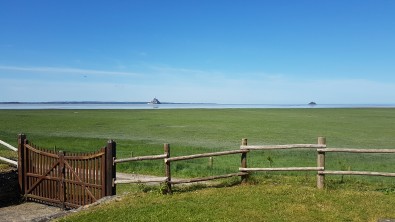 20160524_111124.jpg