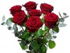 7-roses-1.jpg