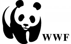 wwf-logo__1_.jpg