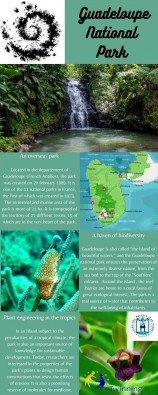 Guadeloupe national park.jpg