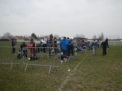 Madagascar 2, avr. 2013