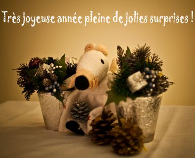 bonne_annee_Mimi.jpg, janv. 2013