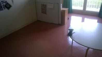 WP_20140224_003.jpg, mar. 2014