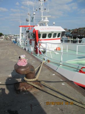 IMG_0174.JPG, juin 2014