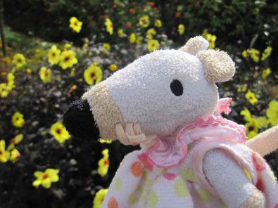 IMG_4853.jpg, oct. 2012