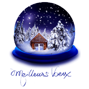 boule_neige.gif, janv. 2015