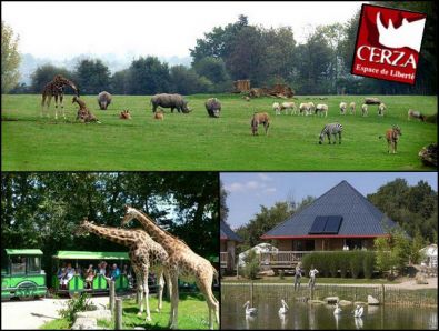 cerza.jpg, mar. 2012