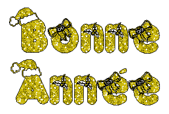 gif-bonne-annee-08_jzr.gif