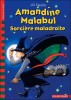 amandine-malabul---la-sorciere-maladroite-2571582.jpg
