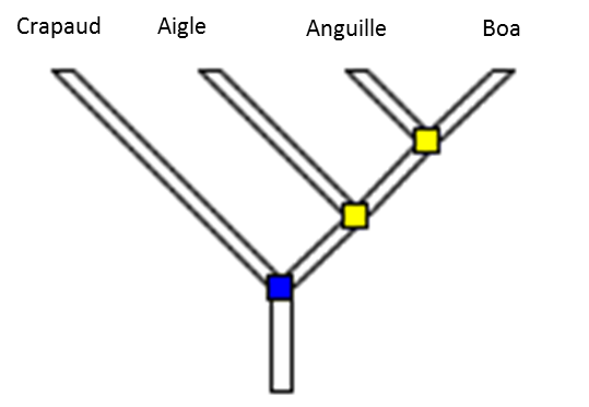 arbre1.png