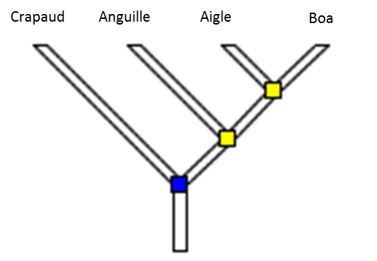 arbre2.png