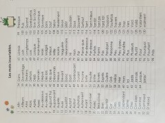 Mots invariables.jpg