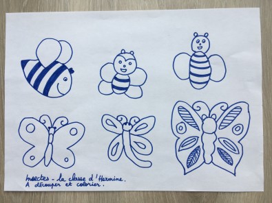 Insectes-a-découper.JPG