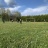 IMG_4819.jpeg