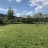 IMG_4820 2.jpeg