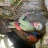 IMG_4997 3.jpeg
