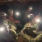 IMG_5024 2.jpeg