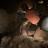IMG_5040 2.jpeg