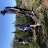 IMG_4936.jpeg
