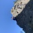 IMG_4948.jpeg