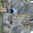IMG_4950.jpeg