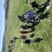 IMG_4840.jpeg