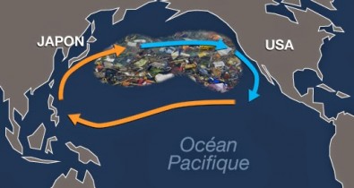 6e_continent.jpg