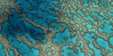 _vue-de-la-barriere-de-corail-en-australie.jpg