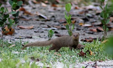 IMG_3990.jpg