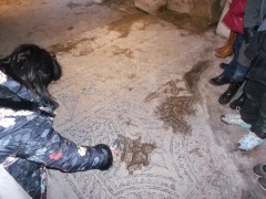 DSCF5174.JPG