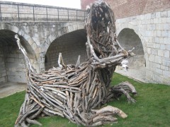 IMG_1707.JPG