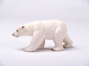 994375_polar_bear_1.jpg