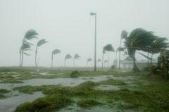 Ouragan Dennis à Key West, photo de tpsdave sur Pixabay