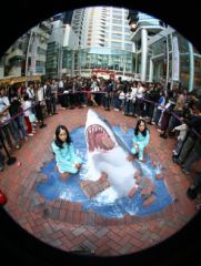Requin 3D, Street art réalisé par Edgar MÜLLER à Hong Kong, photo de Wandmaler