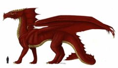 Dragon rouge, fan art de LittleDrakon pour Donjons et Dragons