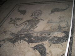 Mosaïque au sol, à Herculanum