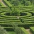 Un labyrinthe de verdure