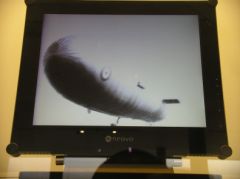 Un zeppelin, en images d'archives