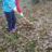 DSC05486.JPG