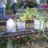 DSC05510.JPG