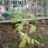 DSC05533.JPG
