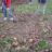 DSC05541.JPG