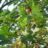 DSC04937.JPG