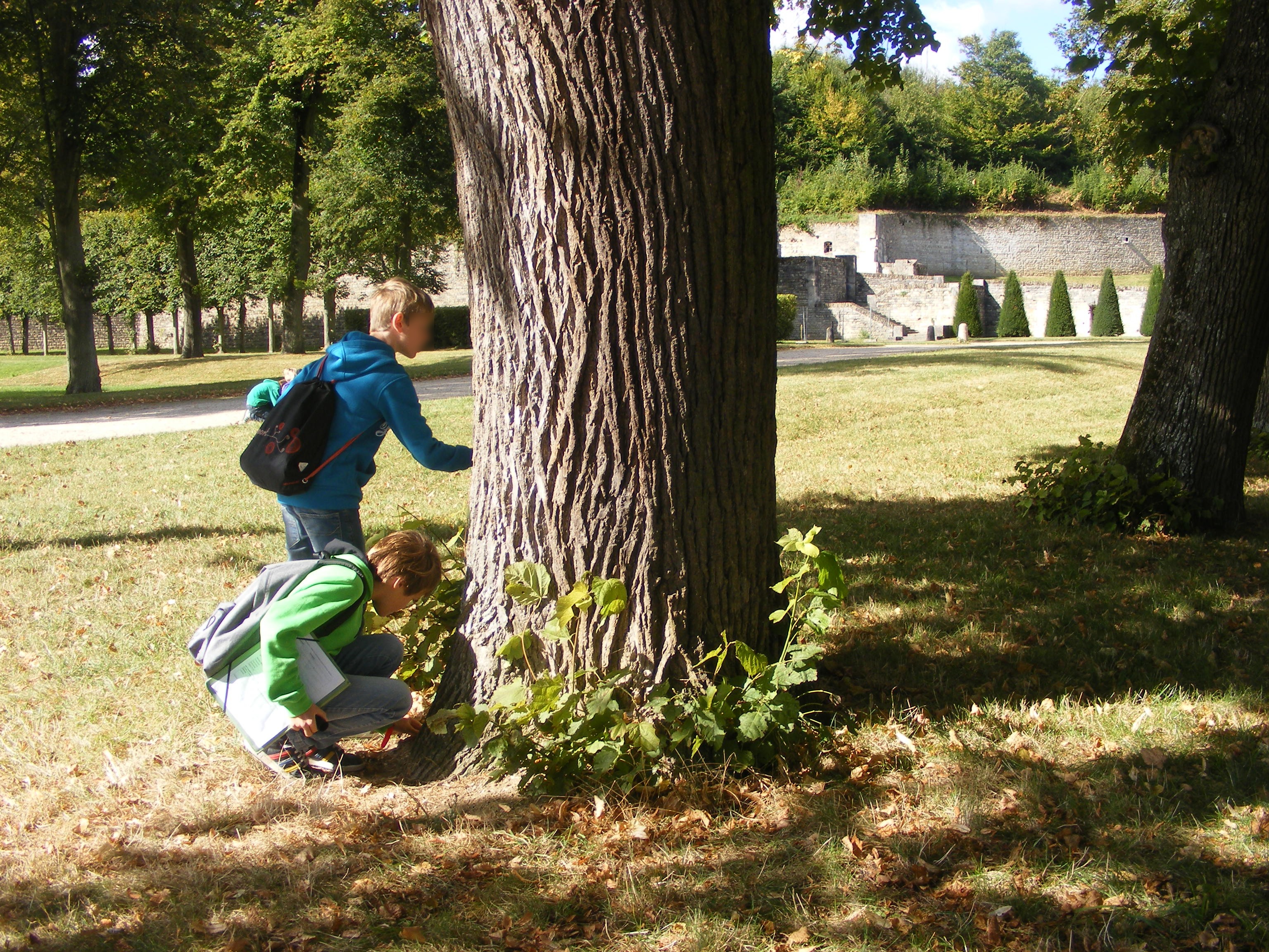 DSCF8018.JPG
