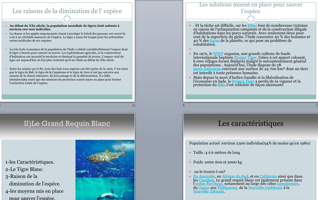 Tigre_Bengale_et_Requin_Blanc1.png