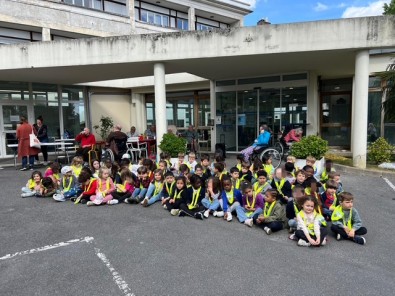 IMG_3466.JPG